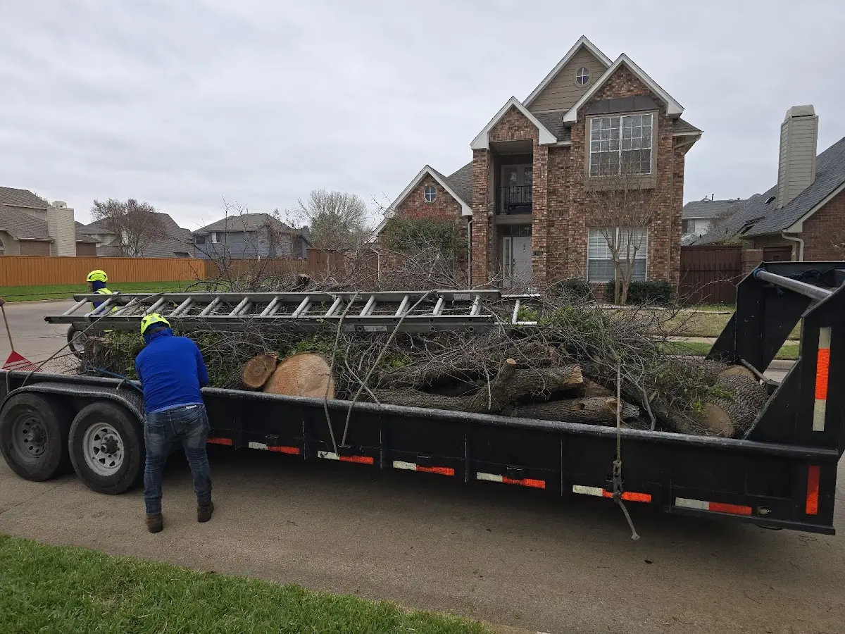 Expert Lot Clearing with proper safety equipment in Richburg